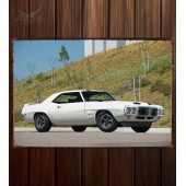 Металлическая табличка Pontiac Firebird Trans Am 547